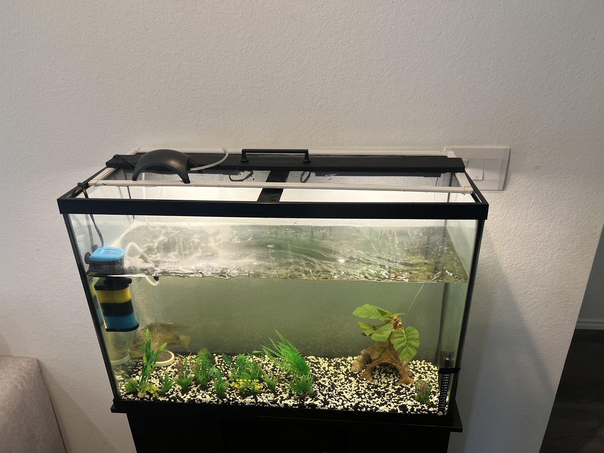Fish Tank