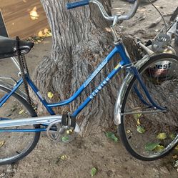 Schwinn 