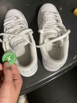 Nike Photon Dunks