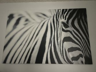 Zebra Photo On Canvas