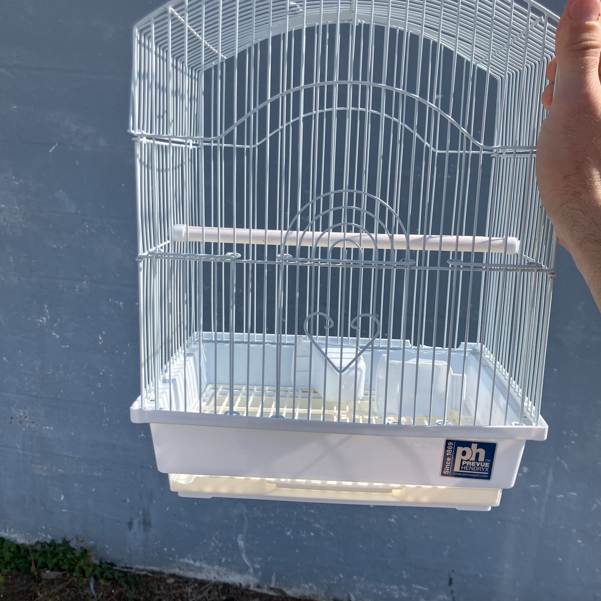 Bird Cage