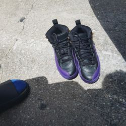 Jordan 12 