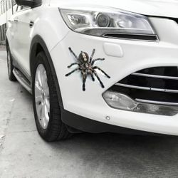 Beautiful Car Decor 