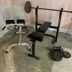 Weight Bench In Workout Equipment