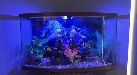 50 Gallon Aquarium Tank With All Parts Complete