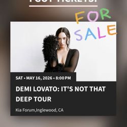 2 Tickets To Demi Lovato Tonight 5/16/26