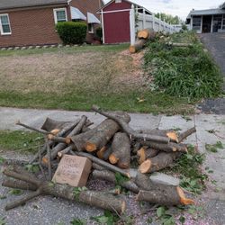 Free Wood! Come Get It. (cherry)