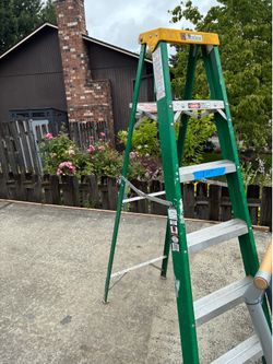 Davidson step ladder