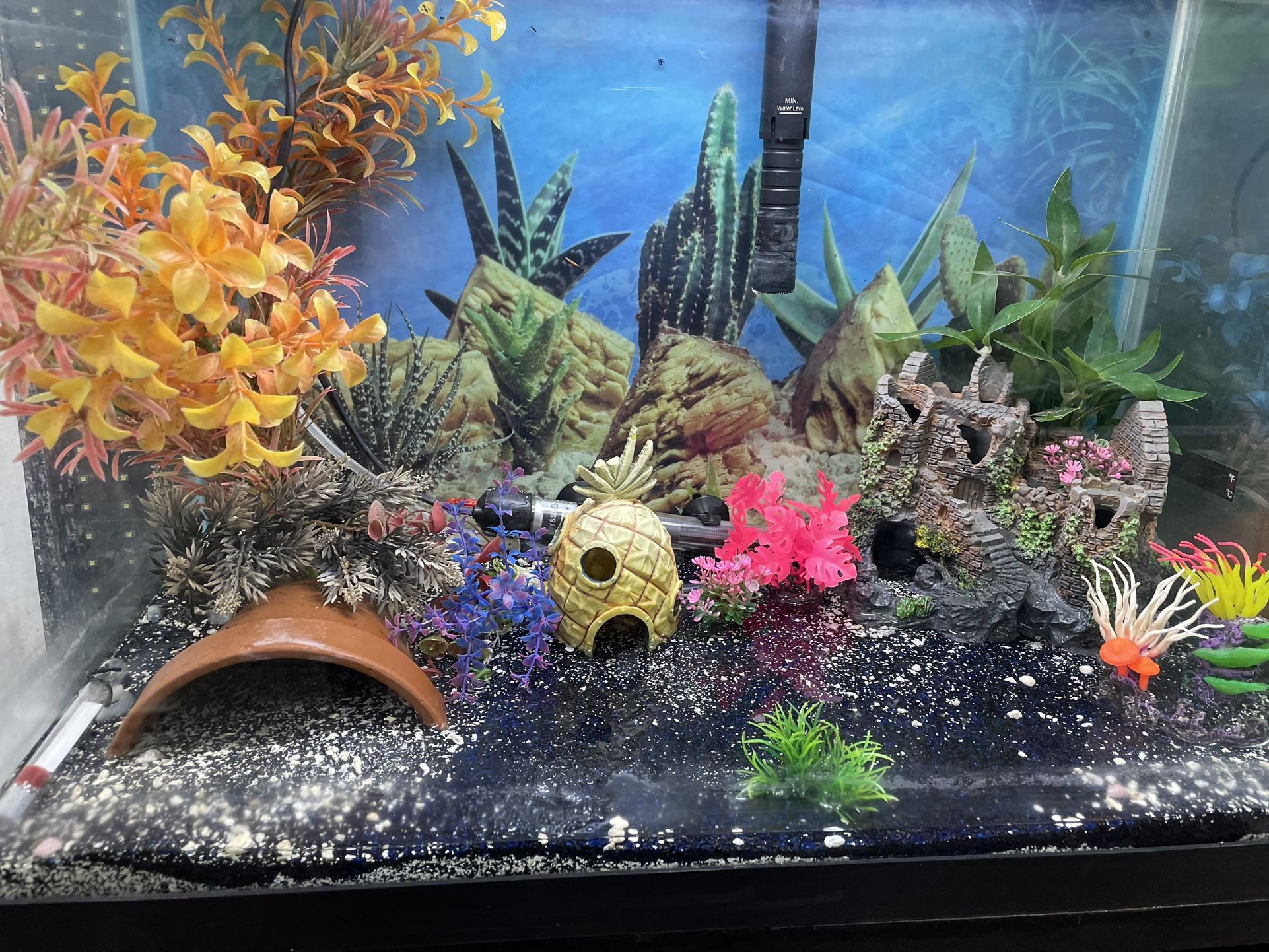 Fish Tank