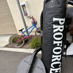 Boxing Set Up 