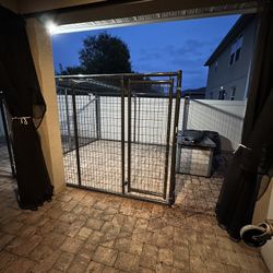 10’x10’ Steel Dog Kennel