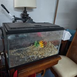 10 Gallon Fish Tank
