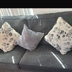 Gray Comfortable Sofa with Decorative Pillows