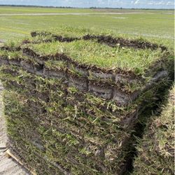 Sod For Sale 