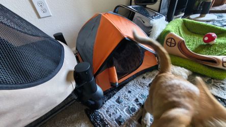 Cat Tent - $20