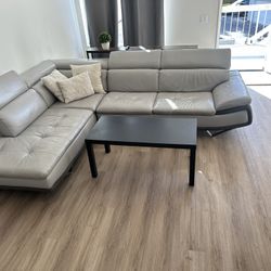 Gray Leather Couch 