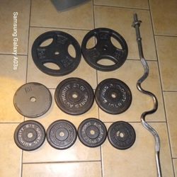 🏋 WEIGHTS  AND CURL BAR 🏋 