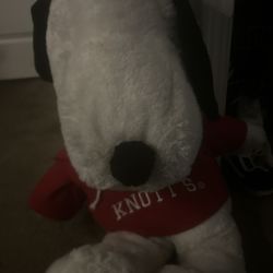 Knotts Berry Farm snoopy teddy bear