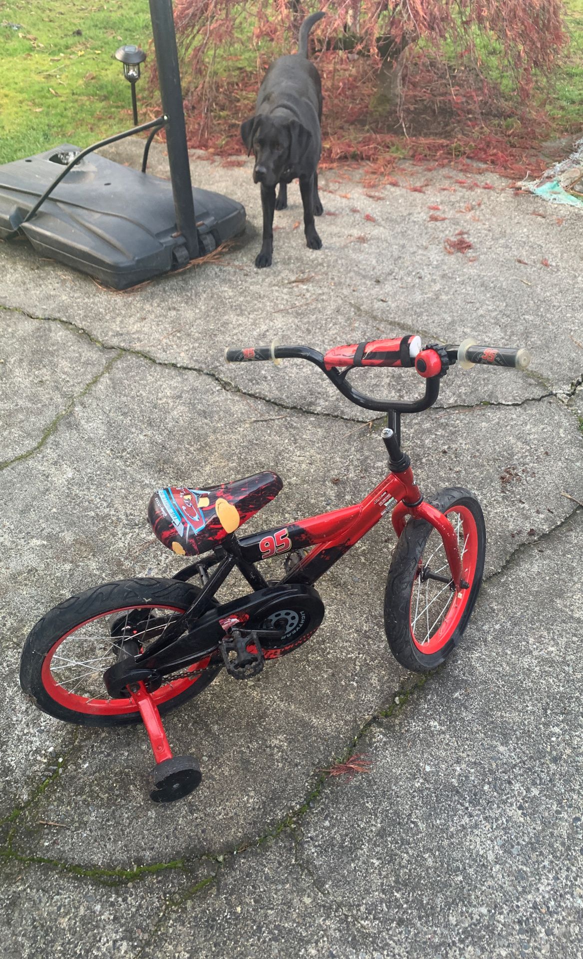 Kids bike