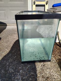 Dry terrarium with lid