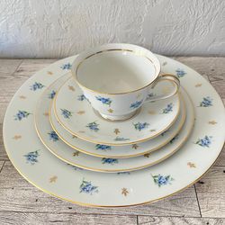 Vintage China Plate and Tea Cup Set
