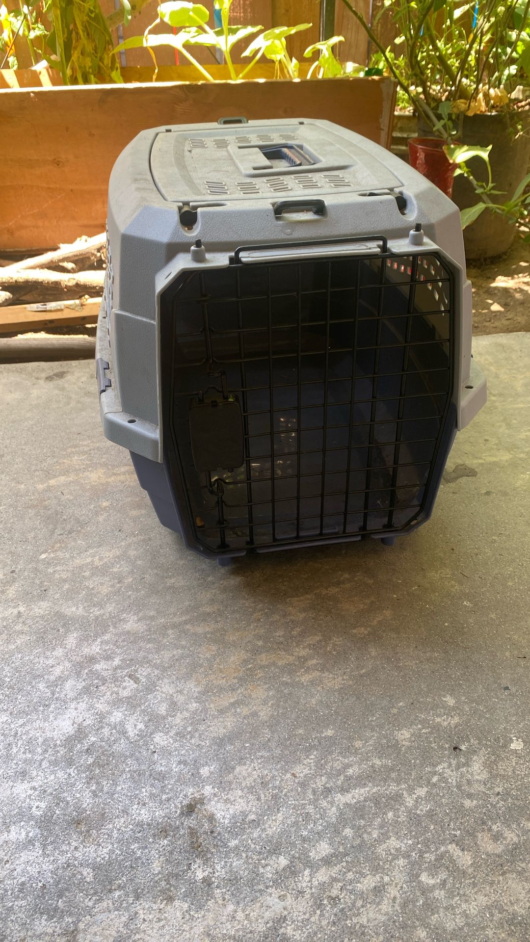 Pet Supplies