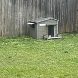 Dog House