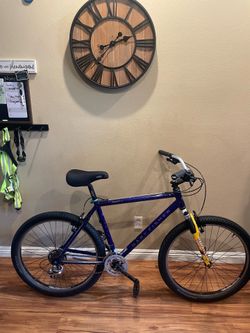 Gary fisher paragon “dad bike” $125obo
