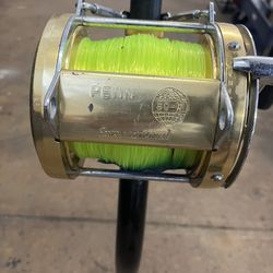 Penn international 80-W Rods