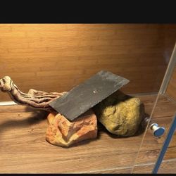 Reptile Accessories 