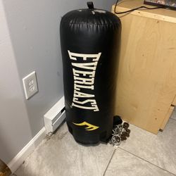 Everlast punching bag (negotiable) 