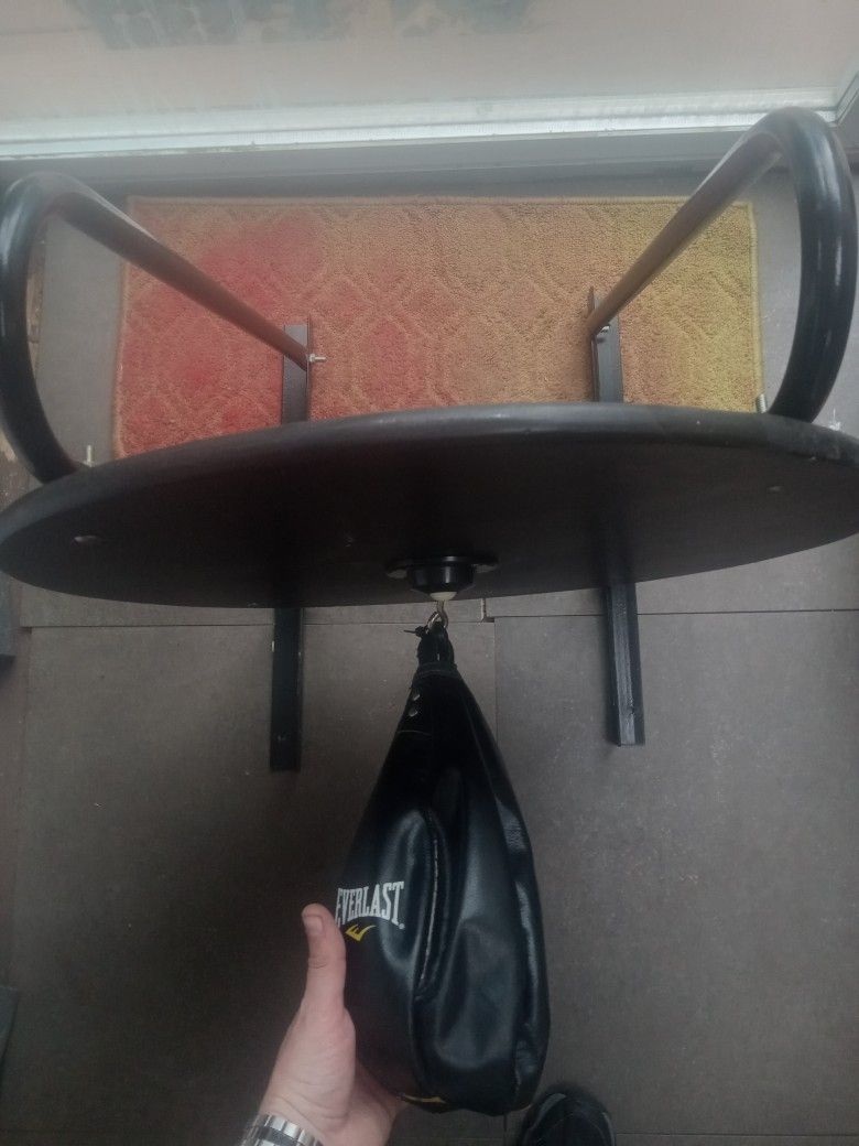 Everlast SPEED Bag