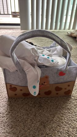 Reusable Diapers and Carrier