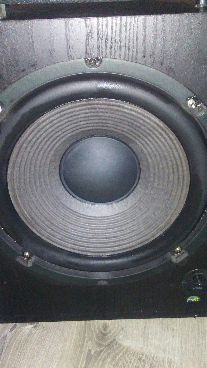 Sony 12" subwoofer