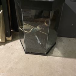 14 Aquariums