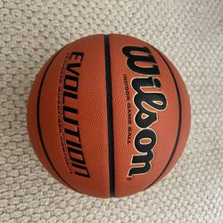Wilson Evolution Basketball