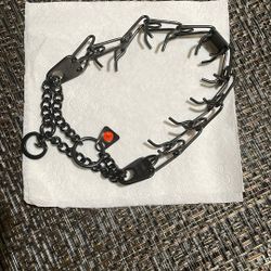 prong collar