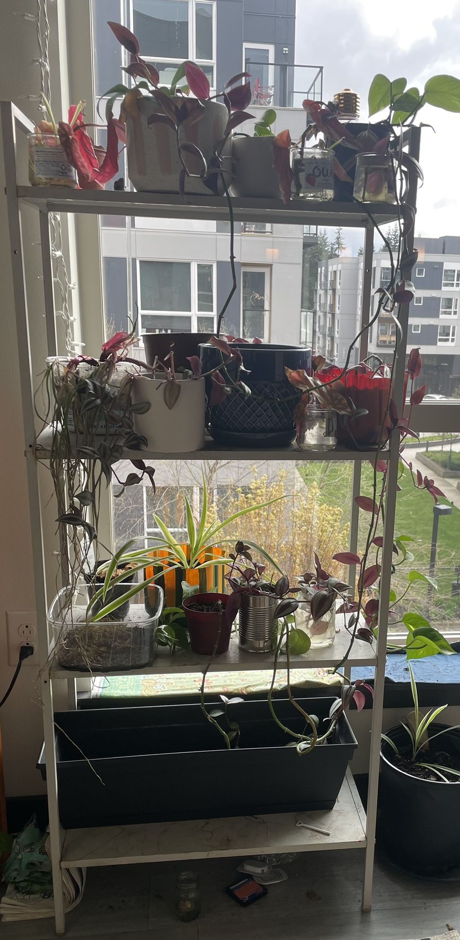4 Tier Metallic Plant Stand