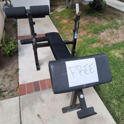 Weight Bench w/ Leg & Preacher Attachment 