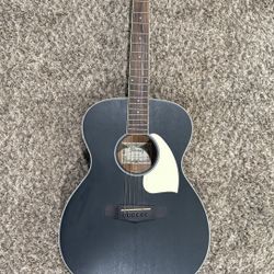 Ibanez Acoustic PC-14WK