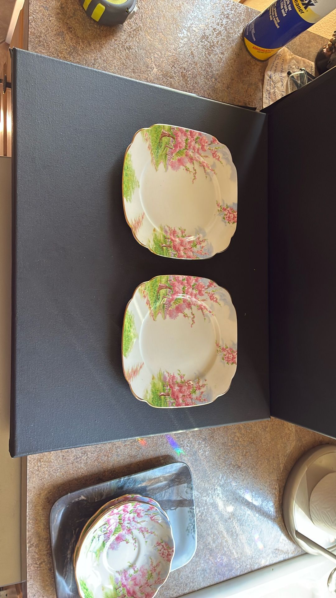 2 Royal Albert “Blossom Time”Plates Bone China Made In England