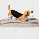 New Bed Dog Extra Large Boots& Barkley 