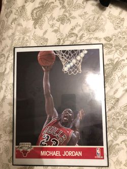 Framed Michael Jordan picture