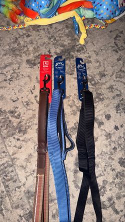 Dog leash
