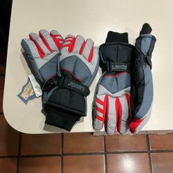 Winter Gloves,  