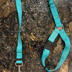 2in1 Dog Seat Belt And Leash