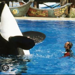 Seaworld SANDIEGO Tickets /boletos 