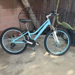 24” Bike, It needs new front wheel axle