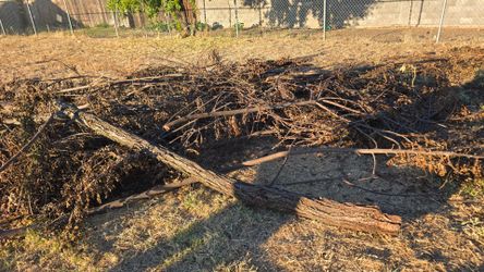 Free fire wood