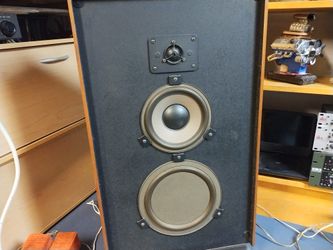 Vintage Realistic Speakers  (Rare)